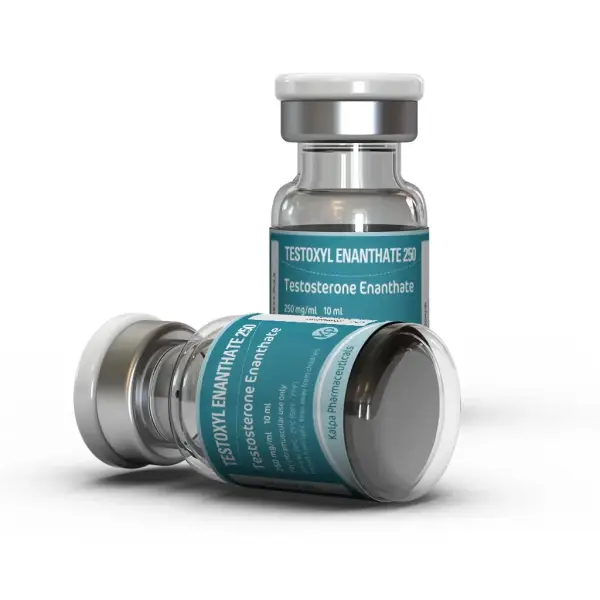 Testoxyl Enanthate 250